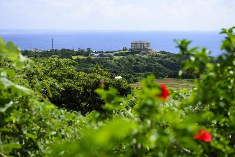 Yakushima Iwasaki Hotel Eksteriør billede
